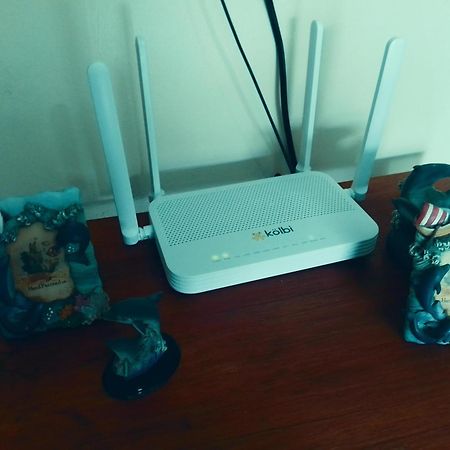 Alexander B&B 阿拉胡埃拉 外观 照片