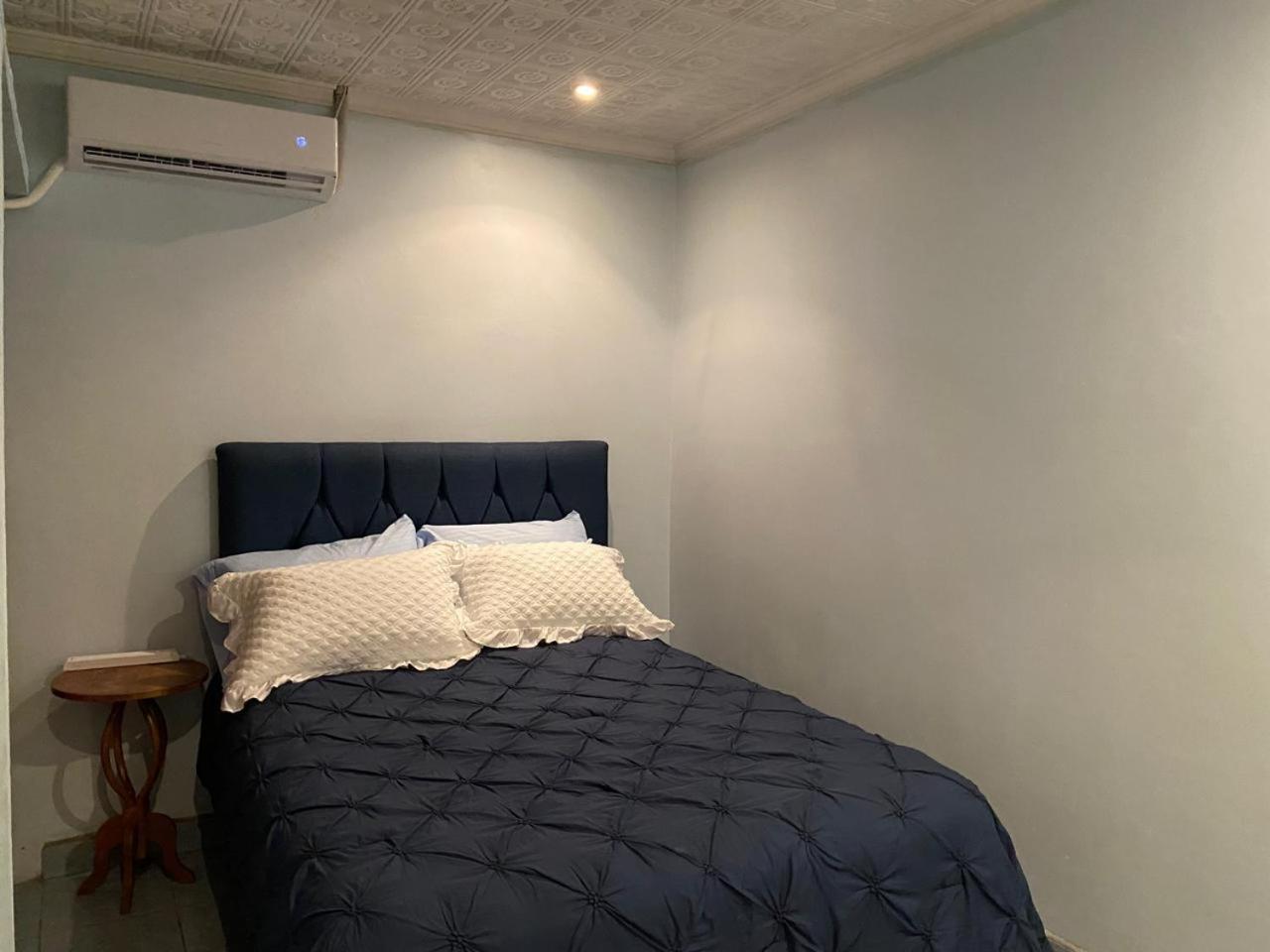 Alexander B&B 阿拉胡埃拉 外观 照片