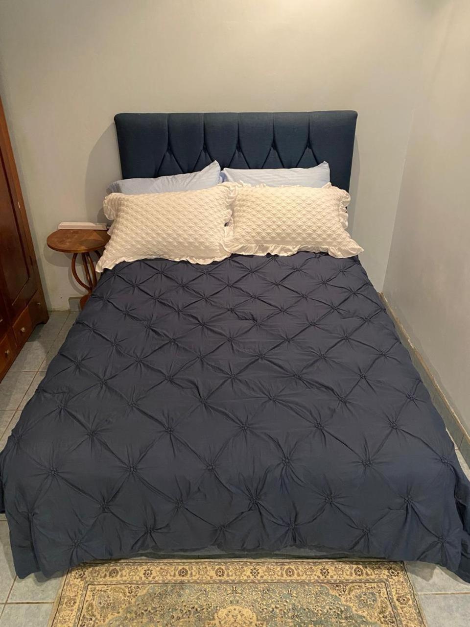 Alexander B&B 阿拉胡埃拉 外观 照片