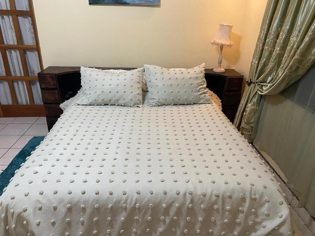Alexander B&B 阿拉胡埃拉 外观 照片