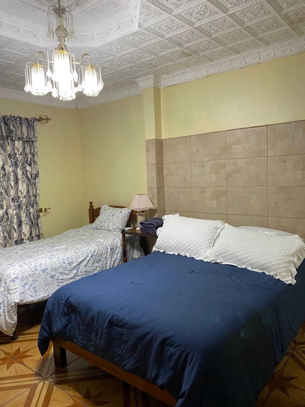 Alexander B&B 阿拉胡埃拉 外观 照片